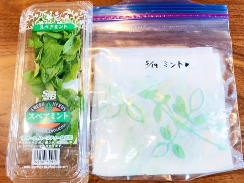 ミントの葉の冷蔵保存方法